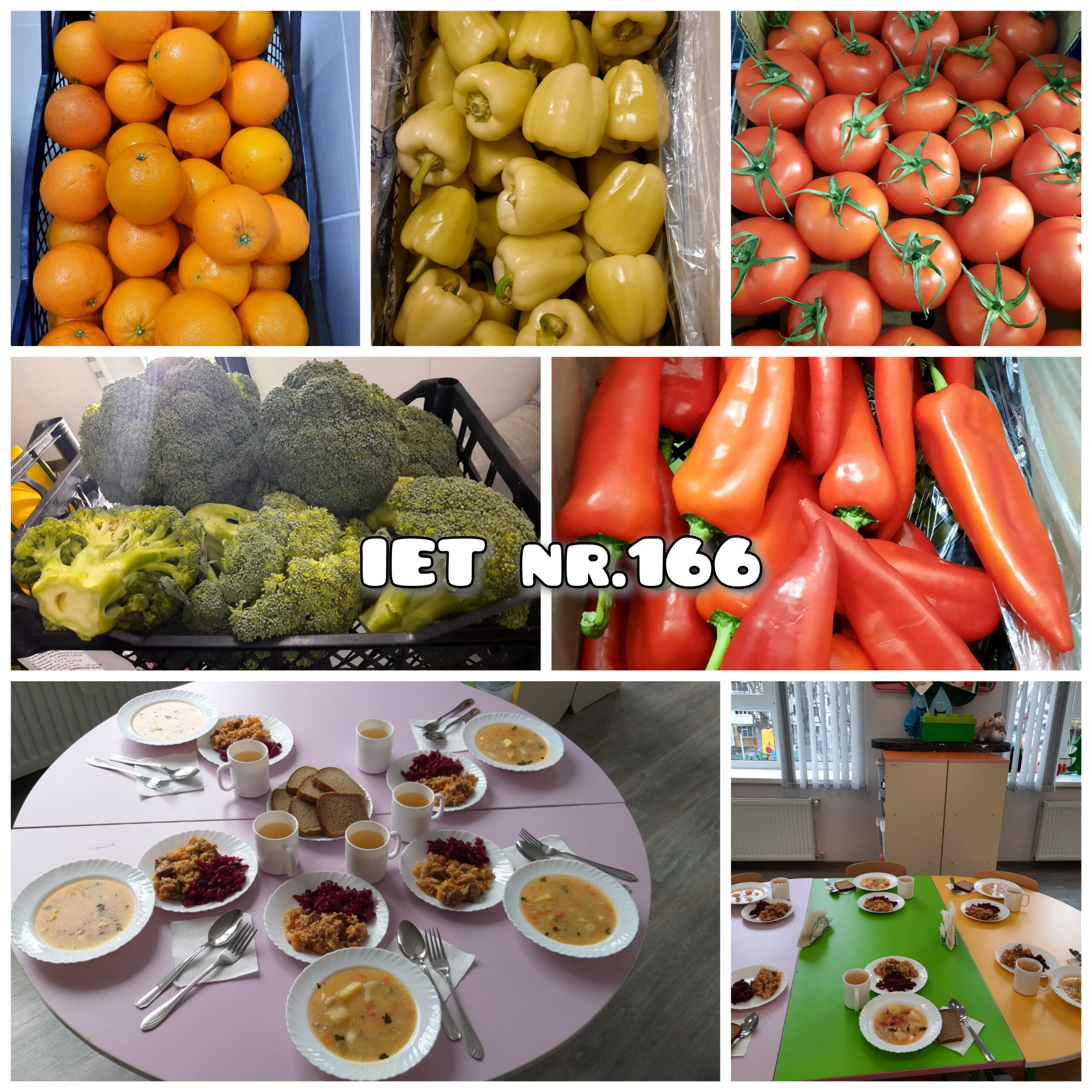 Monitorizarea Alimentației în IET nr.166